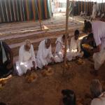Vraj-Yatra-2014- (2568)